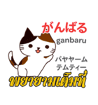 猫の気持ち日本語タイ語（個別スタンプ：2）