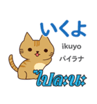 猫の気持ち日本語タイ語（個別スタンプ：4）