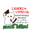 猫の気持ち日本語タイ語（個別スタンプ：11）