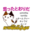 猫の気持ち日本語タイ語（個別スタンプ：16）