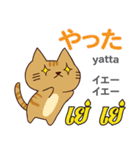 猫の気持ち日本語タイ語（個別スタンプ：23）