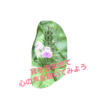 お花のキラキラメッセージ2（個別スタンプ：5）