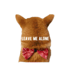 Shiba says (English ver.)（個別スタンプ：13）