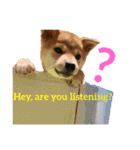 Shiba says (English ver.)（個別スタンプ：19）
