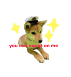 Shiba says (English ver.)（個別スタンプ：30）
