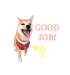 Shiba says (English ver.)（個別スタンプ：32）