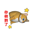 (In Chinene) CG Cat baby (1)（個別スタンプ：6）