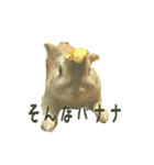 うちのグングン（個別スタンプ：1）