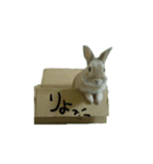 うちのグングン（個別スタンプ：2）