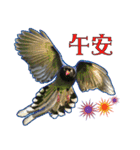 Bird language（個別スタンプ：13）