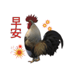 Bird language（個別スタンプ：15）