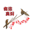 Bird language（個別スタンプ：24）