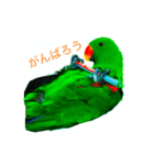 ピカちゃんはオオハナインコ（個別スタンプ：4）