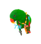 ピカちゃんはオオハナインコ（個別スタンプ：6）