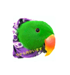 ピカちゃんはオオハナインコ（個別スタンプ：10）