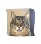 お家ねこ（個別スタンプ：2）