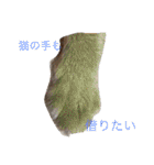 ヨーキーとマルチーズ と猫（個別スタンプ：3）