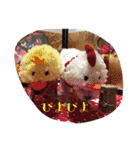 ヨーキーとマルチーズ と猫（個別スタンプ：25）