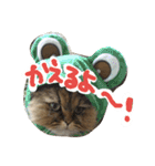 しなじんスタンプ（個別スタンプ：3）