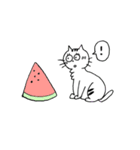 ねこのチィ（個別スタンプ：1）