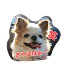 もなベキ姉妹。withアイルくん（個別スタンプ：4）