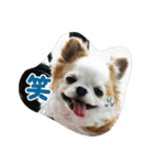 もなベキ姉妹。withアイルくん（個別スタンプ：5）