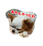 もなベキ姉妹。withアイルくん（個別スタンプ：13）