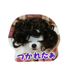 もなベキ姉妹。withアイルくん（個別スタンプ：15）