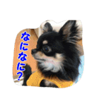 もなベキ姉妹。withアイルくん（個別スタンプ：22）
