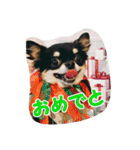 もなベキ姉妹。withアイルくん（個別スタンプ：23）