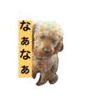 山本家のハニー君（個別スタンプ：7）