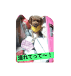 山本家のハニー君（個別スタンプ：8）
