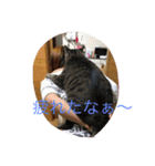 ニャンコの世界（個別スタンプ：2）