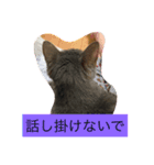 ニャンコの世界（個別スタンプ：3）