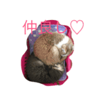 ニャンコの世界（個別スタンプ：8）
