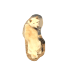 柴犬 大地（個別スタンプ：3）