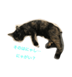 猫のほるへの日常（個別スタンプ：5）