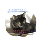 猫のほるへの日常（個別スタンプ：8）