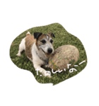 ジャックな生活（個別スタンプ：1）