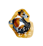 ジャックな生活（個別スタンプ：7）