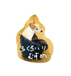 ジャックな生活（個別スタンプ：8）