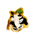 ジャックな生活（個別スタンプ：14）