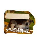 ジャックな生活（個別スタンプ：21）