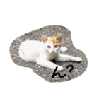 ジャックな生活（個別スタンプ：23）
