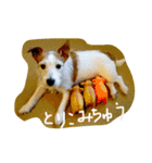 ジャックな生活（個別スタンプ：24）