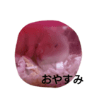 その2 ハムスター まるのスタンプ（個別スタンプ：8）