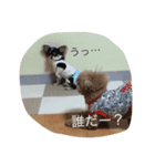 （U＾ω＾） わんわんお！（個別スタンプ：8）