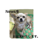 ぺこ＊ひま 〜わんわん〜（個別スタンプ：2）
