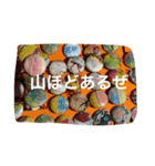 羊毛とか（個別スタンプ：5）