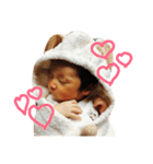 ♡babyスタンプ♡（個別スタンプ：10）